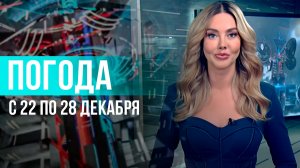 Погода на неделю 22 – 28 декабря 2025. Прогноз погоды. Беларусь | Метеогид