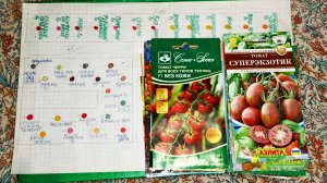 Сколько всего томатов буду сажать в сезоне 2026.Схемы посадки в теплицах