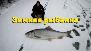 Открытие первого льда. Начало зимнего сезона