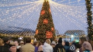 ЯЛТА СЕГОДНЯ, НАБЕРЕЖНАЯ, ВСЕ ЕЛКИ ЯЛТЫ ЗАЖГЛИ ОГНИ, кормим птиц на набережной