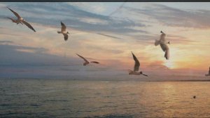 "Слова, слова..." читает автор  О.Ахметова