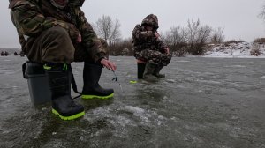 С Мишей на зимнюю рыбалку! ЕСТЬ ТРОФЕЙЧИК {СХОДИЛИ В КАФЕ И ХОРОШО ПОЕЛИ}