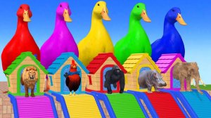 Веселые игры с слоном, гориллой, бегемотом, тигром - 3D игра с животными - Забавные 3D животные