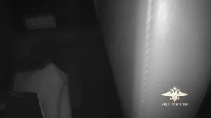 В аэропорту Шереметьево имени А.С. Пушкина сотрудники полиции задержали агрессивную авиапассажирку