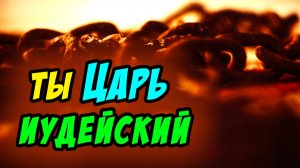 Ты Царь иудейский - Василий Савич. Христианские проповеди