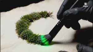 Чудесные превращения. Волшебство. АСМР