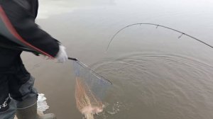 VID_20251220_114803_706