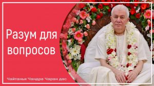 Разум для вопросов