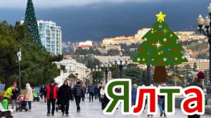 ЯЛТА.ПРОГУЛКА ПО НАБЕРЕЖНОЙ 20 ДЕКАБРЯ 2025.МОРЕ.СОБАКИ.ЖИЗНЬ НА МОРЕ / ЯЛТА