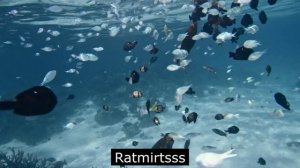 Рыбы полное видео