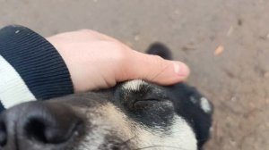 Херсонщина 20 декабря 2025 года