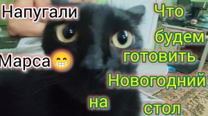 Что будем ГОТОВИТЬ на Новогодний стол/Список ПРОДУКТОВ/Зима закончилась на ЮГЕ/Делаем ДОБРО/Закупка