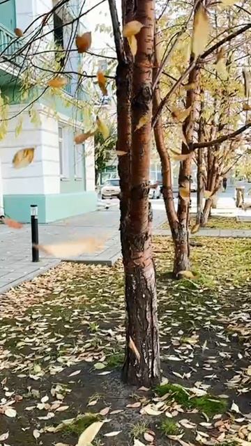 Красноярск