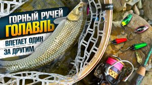Горный ручей: в поисках голавля и форели | Ловля на микро-колебалки “ТЛЕЦ”