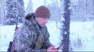 КАК Я ВСТРЕТИЛ ДВУХ РЫСЕЙ В ТАЙГЕ / ИДУ НА ЛЫЖАХ ИСКАТЬ ПЕРЕХОДЫ ЛОСЕЙ / ИДТИ СТАНОВИТСЯ СЛОЖНЕЕ.