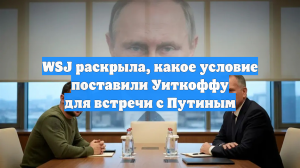 WSJ раскрыла, какое условие поставили Уиткоффу для встречи с Путиным