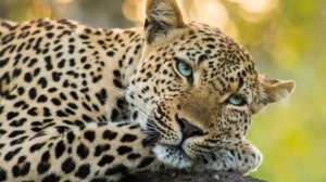 Открываем коробки и к сборочному цеху