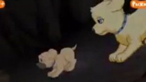 ＂Щенок в моём кармане＂ анонс телеканала ＂Рыжий⧸ ＂Puppy in my po