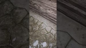 1000042958.mp4 (Собака наблюдает за лайфхаками при строительстве дома А-фрейм)