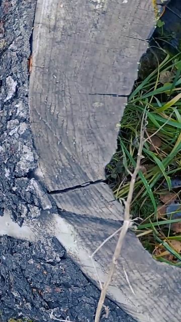 Как я нашёл радиацию смотреть онлайн