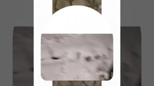 1000043021.mp4 (Собака наблюдает за лайфхаками при строительстве дома А-фрейм)