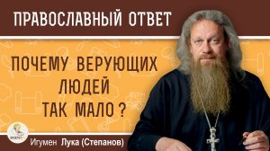 Почему верующих воцерковлённых людей так мало?  Игумен Лука (Степанов)