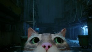 Котик. Stray. 3 серия. ( Новый микро )