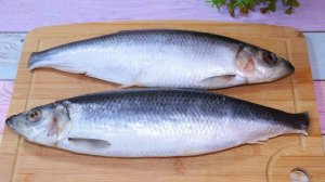 Как ДЕШЕВО и вкусно приготовить СЕЛЕДКУ в домашних условиях. #716