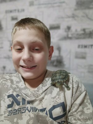 тот самый день черепахи