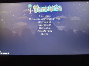 играю в террарию (с нг событием)