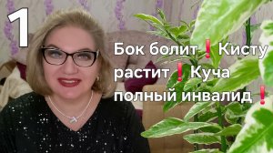 Бок болит❗️Кисту растит❗️Куча полный инвалид❗️