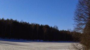 Охота на тетеревов с нарезным.