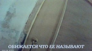 СВЕТА ПЕРЕСМАТРИВАЕТ ВМДЕО