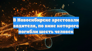 В Новосибирске арестовали водителя, виновного в гибели шести человек