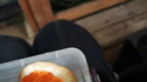 СОЧИ ГОРНОЕ ЛОО УТРО 20.12.2025