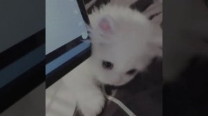 не сторчаться - две тысячи ярдов