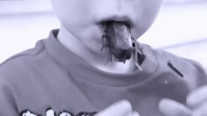 СЕСТРА СПРЯТАЛА ПОДАРКИ  СМОЖЕТ ЛИ МАЛЫШ ИХ НАЙТИ?!