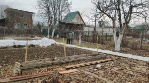 Укрываем виноград новым строительным материалом. ПроДачу зима.