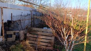 Зимние хлопоты