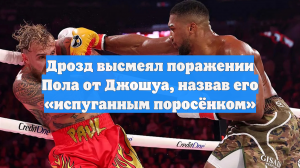 Дрозд высмеял поражении Пола от Джошуа, назвав его «испуганным поросёнком»