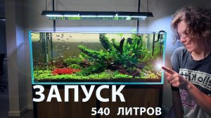 ЗАПУСК АКВАРИУМА 540 ЛИТРОВ | Коряги | Растения | Рыбки
