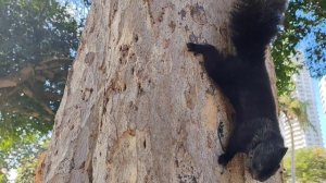 Протамнак набережная...