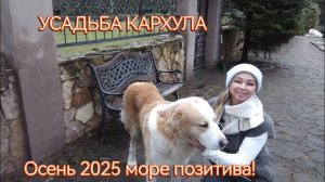 И В БУДНЯХ МОЖЕТ БЫТЬ МОРЕ ПОЗИТИВА!