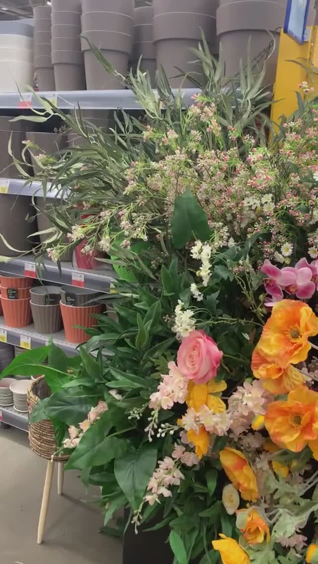 Обзор цветов в магазине Лента 🌷 цены и выбор смотреть онлайн