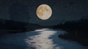 Не стреляйте в журавлей