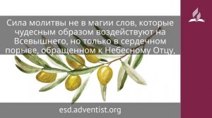 20 декабря 2025. Научи нас молиться. Под сенью благодати | Адвентисты