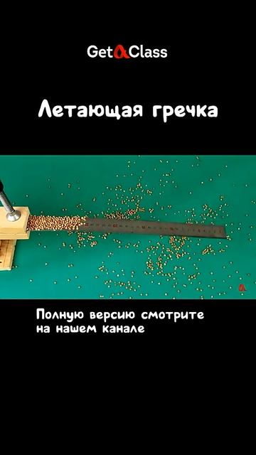 Летающая гречка смотреть онлайн