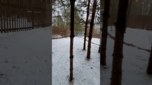 copy_DD7C6E67-0A4E-4B82-A632-58D374E9339A