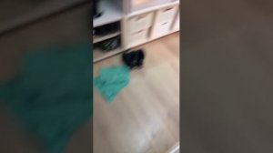 Че-то у бабушки