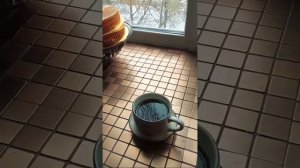 Ухожу-уже темно,прихожу-ещё темно.